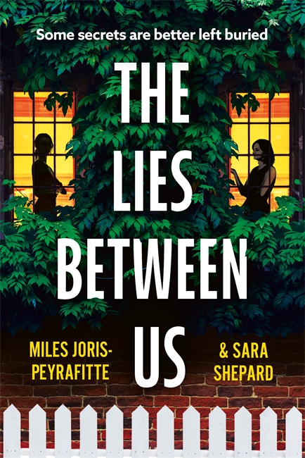 Book cover for The Lies Between Us