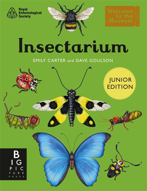Book cover for Insectarium (Junior Edition)