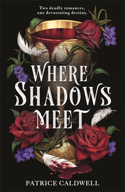 Book cover for Where Shadows Meet