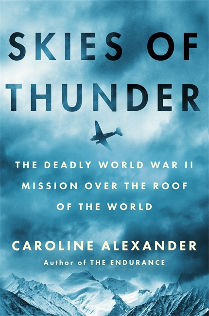 Book cover for Skies of Thunder