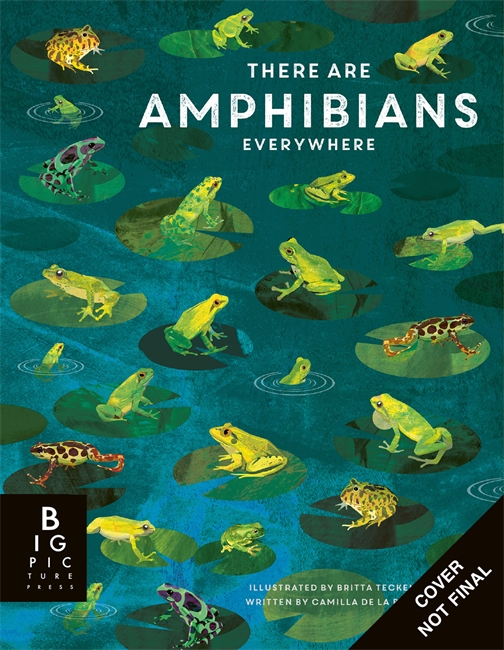 Book cover for There Are Amphibians Everywhere