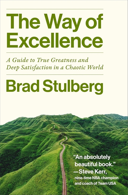 Book cover for The Way of Excellence