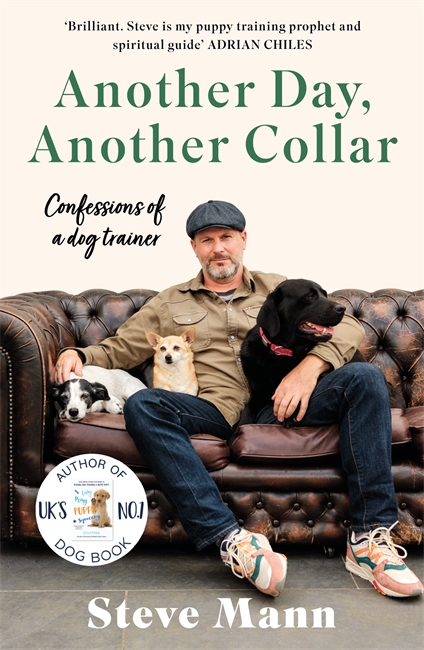 Book cover for Another Day, Another Collar