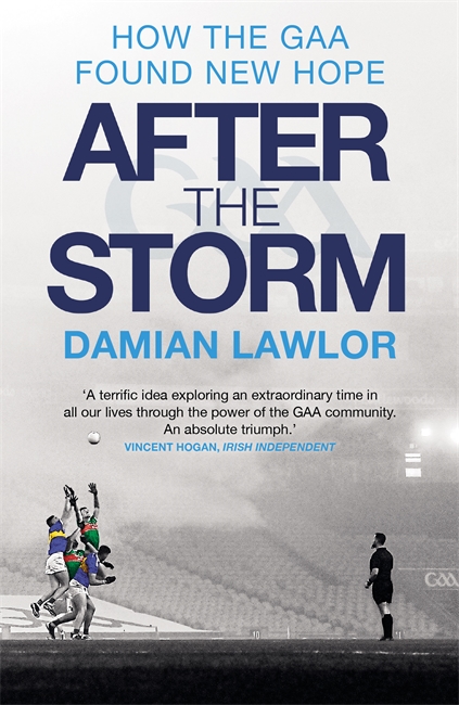 Book cover for After the Storm