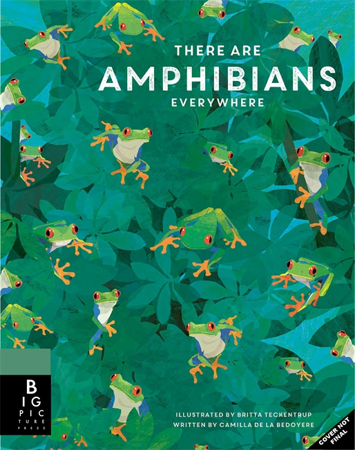 Book cover for There Are Amphibians Everywhere