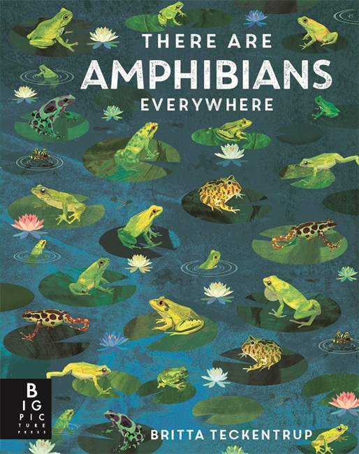 Book cover for There Are Amphibians Everywhere