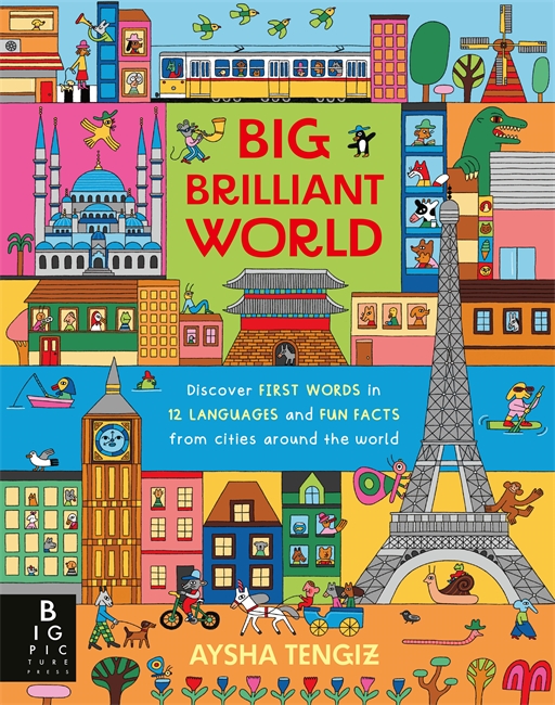 Book cover for Big Brilliant World