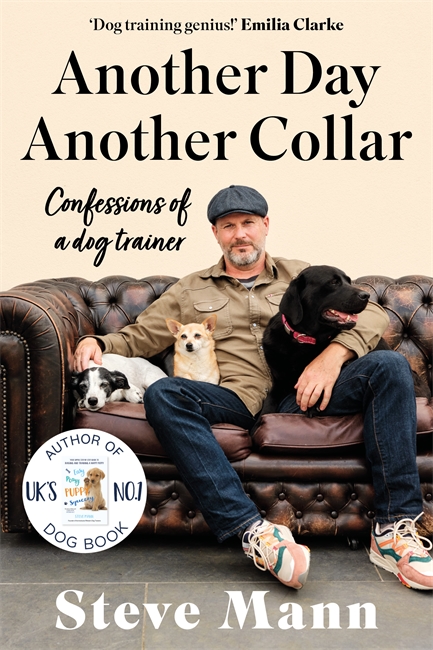 Book cover for Another Day, Another Collar