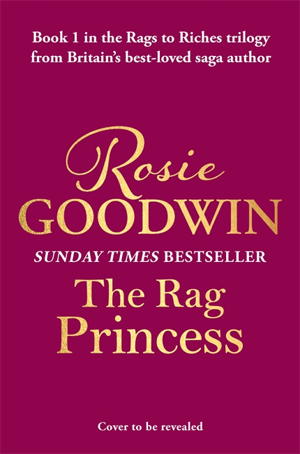 Book cover for The Rag Princess