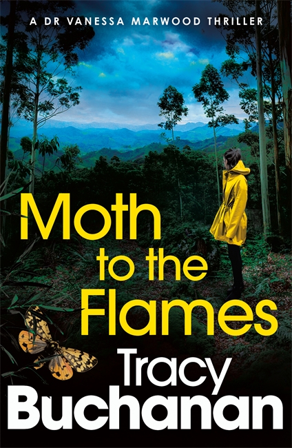 Book cover for Moth to the Flames